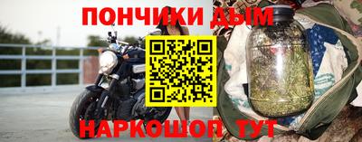 Альфа ПВП Дубна