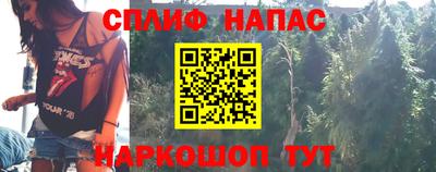 гашик Донецк