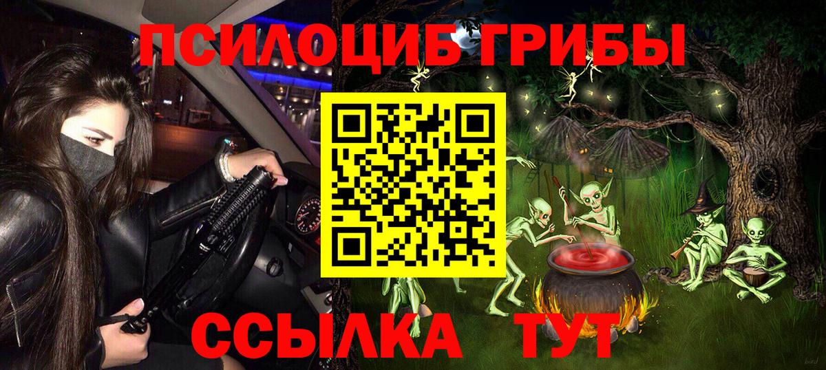 Псилоцибиновые грибы Cubensis  Псилоцибиновые грибы GOLDEN TEACHER  Новокубанск  Вход с VPN 
