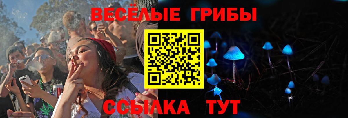 Галлюциногенные грибы Magic Shrooms Новокубанск