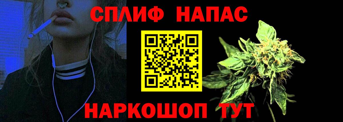 Каннабис сатива Новокубанск